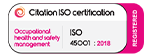 ISO logo